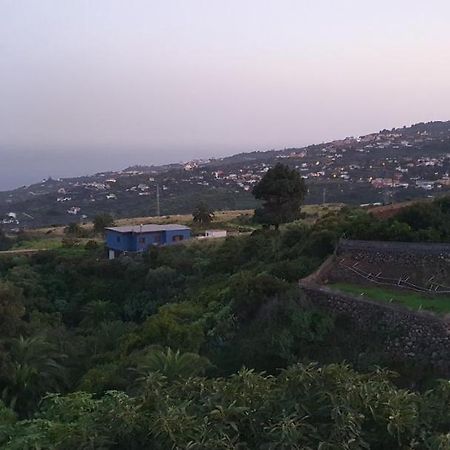 La Sabana Konuk evi Buenavista de Abajo Dış mekan fotoğraf