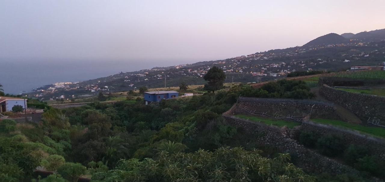 La Sabana Konuk evi Buenavista de Abajo Dış mekan fotoğraf