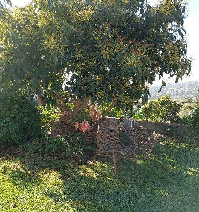 La Sabana Konuk evi Buenavista de Abajo Dış mekan fotoğraf