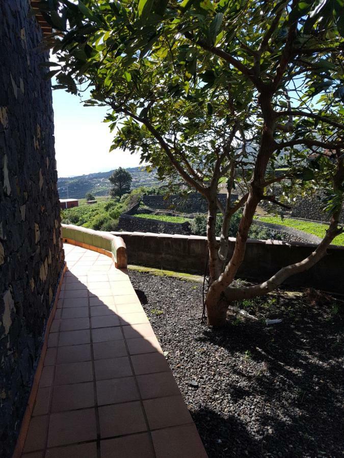 La Sabana Konuk evi Buenavista de Abajo Dış mekan fotoğraf